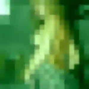 Photo exclusive de Audrey, 30 ans à Lagardelle-sur-Lèze - rencontre sans lendemain