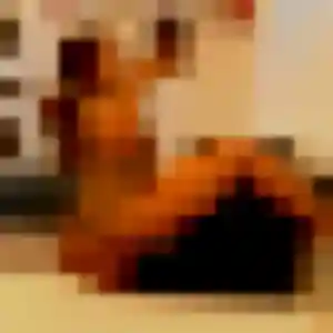 Photo sexy de Alexandra, 43 ans à Lamnay - rencontre coquine