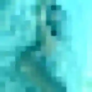 Charmante Sixtine, 33 ans à Landavran - la contacter