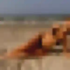 Rejoins Ameline, 26 ans à Landiras en privé