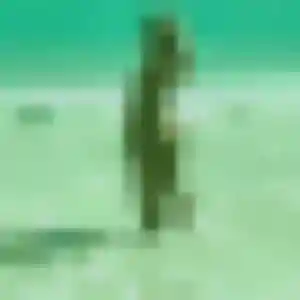 Agathe, fille de 32 ans cherche plan cul à Langon-sur-Cher