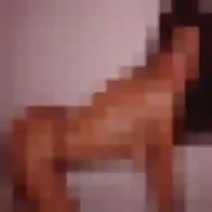 Contacte Myriam, 27 ans à Lantriac gratuitement