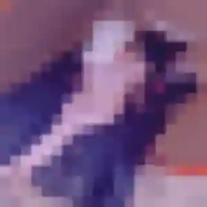 Photo privée de Delia, 32 ans à Lapoutroie - rencontre coquine