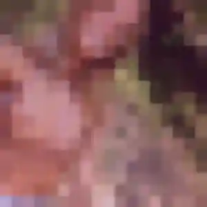 Idalina, 30 ans, disponible à Laroque-Timbaut pour une rencontre coquine
