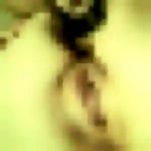 Brune, 35 ans, en ligne à Lasserre-Pradère pour une rencontre coquine