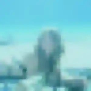 Profil de Renee à Laussonne (33 ans) - plan cul anonyme