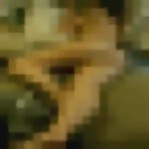 Svetlana (37 ans) à Lauwin-Planque cherche une rencontre aujourd'hui