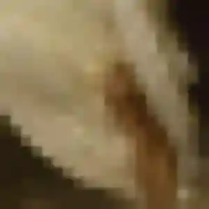 Yannick, 32 ans, cherche un plan cul à Le Bouchage