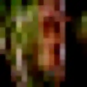 Photo de Aurore à Le Cannet (22 ans) - plan cul anonyme