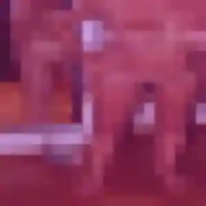 Elvire, 37 ans, connectée à Le Cannet pour une rencontre coquine