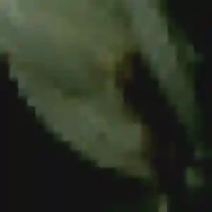 Profil de Angelique à Le Fenouiller (34 ans) - plan cul gratuit
