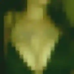 Pascale, femme de 28 ans cherche plan cul à Le Grand-Celland