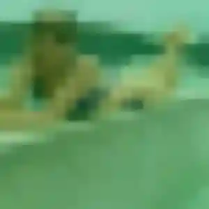 Photo privée de Marie-Therese, 22 ans à Le Gua - rencontre coquine