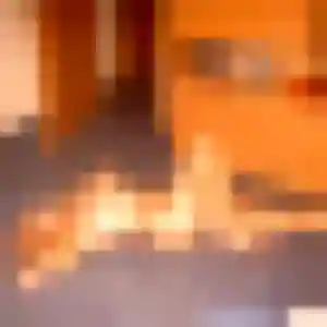 Jacqueline (33 ans) à Le Passage cherche une rencontre rapidement