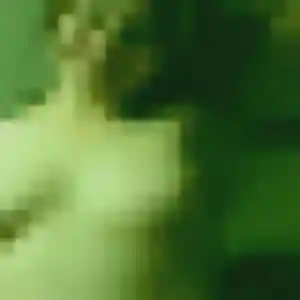 Ibtissam, 44 ans, disponible à Le Pouliguen pour une rencontre coquine