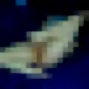 Photo de Priscilla à Le Pré-d'Auge (44 ans) - plan cul gratuit