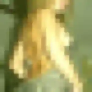 Ilona, 34 ans, connectée à Lécluse pour une rencontre coquine
