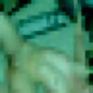 Monique, 23 ans, en ligne à Lépanges-sur-Vologne pour une rencontre coquine