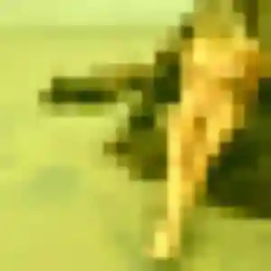 Belle Valentina, 43 ans à Lepuix - la contacter