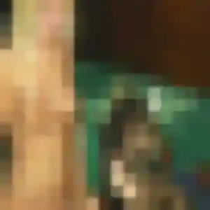 Photo de Sofia à Lestelle-Bétharram (40 ans) - plan cul anonyme