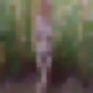 Belle Anne-Sophie, 35 ans à Lignières-Ambleville - voir sa photo