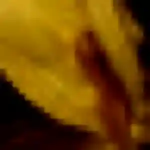 Photo de Viviane à Ligny-en-Cambrésis (32 ans) - plan cul gratuit