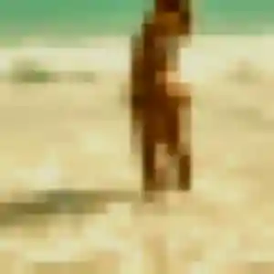 Contacte Lilou, 43 ans à Limersheim en privé