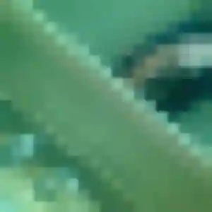 Siham, 32 ans, disponible à Locqueltas pour un plan cul