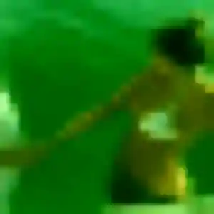 plan cul à Longessaigne : photo de Virginie, 45 ans - sans engagement