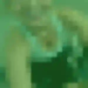 Photo de Severine à Longeville-sur-Mer (34 ans) - plan cul anonyme