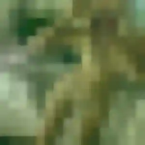 Fatima, 32 ans, connectée à Longué-Jumelles pour une rencontre coquine