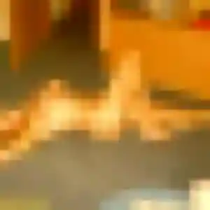 Dorothee, 42 ans, cherche un plan cul à Longuyon