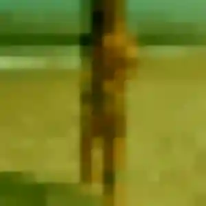 Photo de Salome à Loudéac (26 ans) - plan cul anonyme