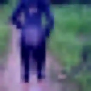 Profil de Sarah à Loudun (39 ans) - plan cul gratuit