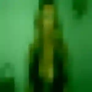 Lena de Loupershouse, 39 ans - plan cul sans prise de tête
