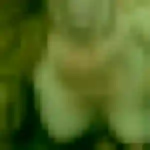 Photo de Rachida à Lusigny (36 ans) - plan cul discret