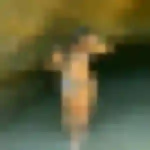 Marie-Helene, 31 ans, disponible à Luxeuil-les-Bains pour une rencontre coquine