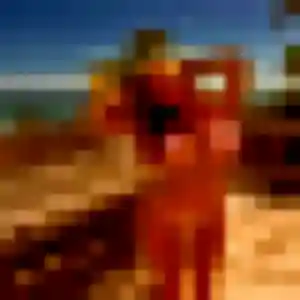 Photo exclusive de Candice, 33 ans à Maizières-la-Grande-Paroisse - plan discret