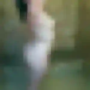 Photo de Djamila à Manom (30 ans) - plan cul sans inscription