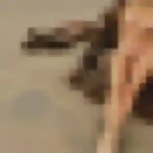 Photo de Isabella à Manthelan (28 ans) - plan cul sans inscription