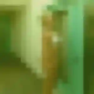 Charmante Solene, 32 ans à Marainviller - la contacter