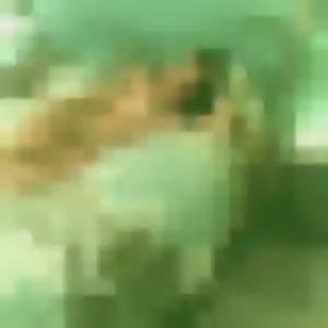 Photo de Gaelle à Marliens (30 ans) - plan cul discret