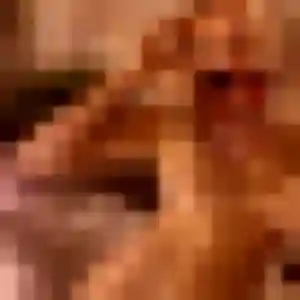 Photo perso de Jade, 23 ans à Marly - rencontre coquine