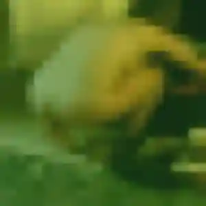Photo privée de Kawtar, 26 ans à Marpent - rencontre coquine