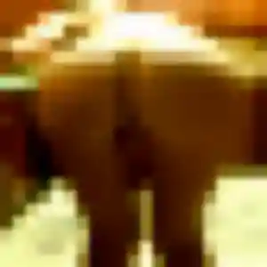Eglantine (38 ans) à Marseille cherche une rencontre ce soir