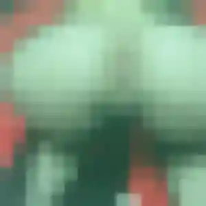 Leontine, fille de 24 ans cherche plan cul à Marseillette