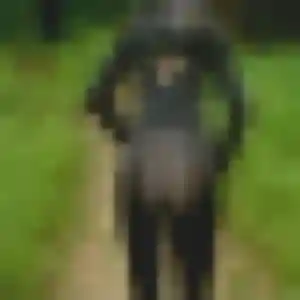 Debora, 45 ans, disponible à Martres-sur-Morge pour une rencontre coquine