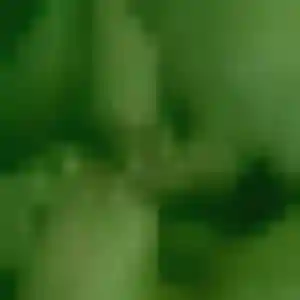 Jean-Marie, femme de 45 ans cherche plan cul à Marvejols