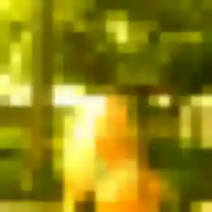 Myriam (28 ans) à Mauléon cherche une rencontre ce soir