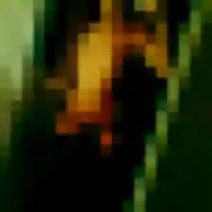 Celine (22 ans) à Mélicocq attend une rencontre ce soir